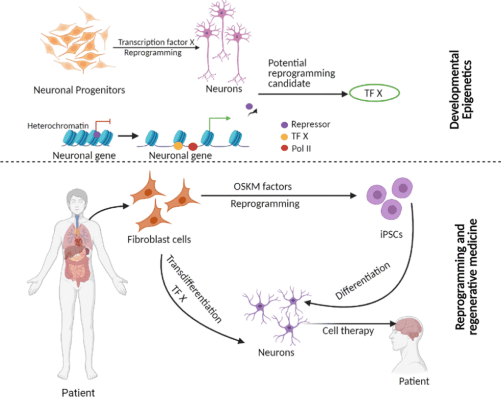 cc871bd2 378e 46f6 a7c7 3128cd0beefe 1