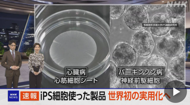 The Dawn of Regeneration: Pioneering iPSC Therapies Rewrite the Narrative of Incurable Diseases 12 jpan ips